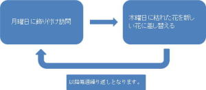 Ԃ̃TCN摜